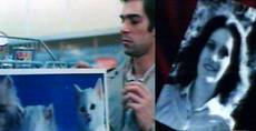 Di Salvo buys cat food (right); a photo of Angelo (right)