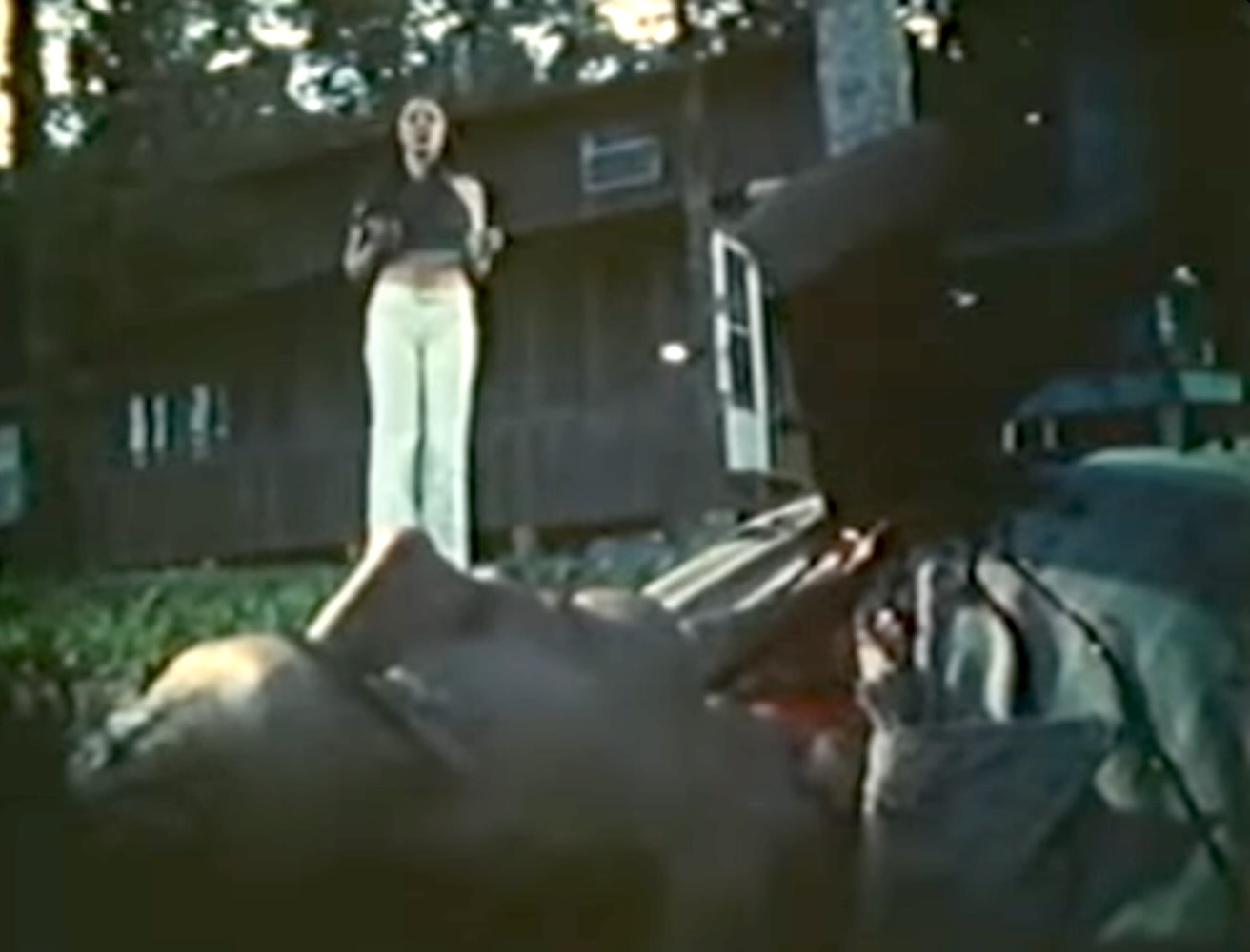 POOR WHITE TRASH II features an opening that would not have been out of place a few years later on Crystal Lake ...