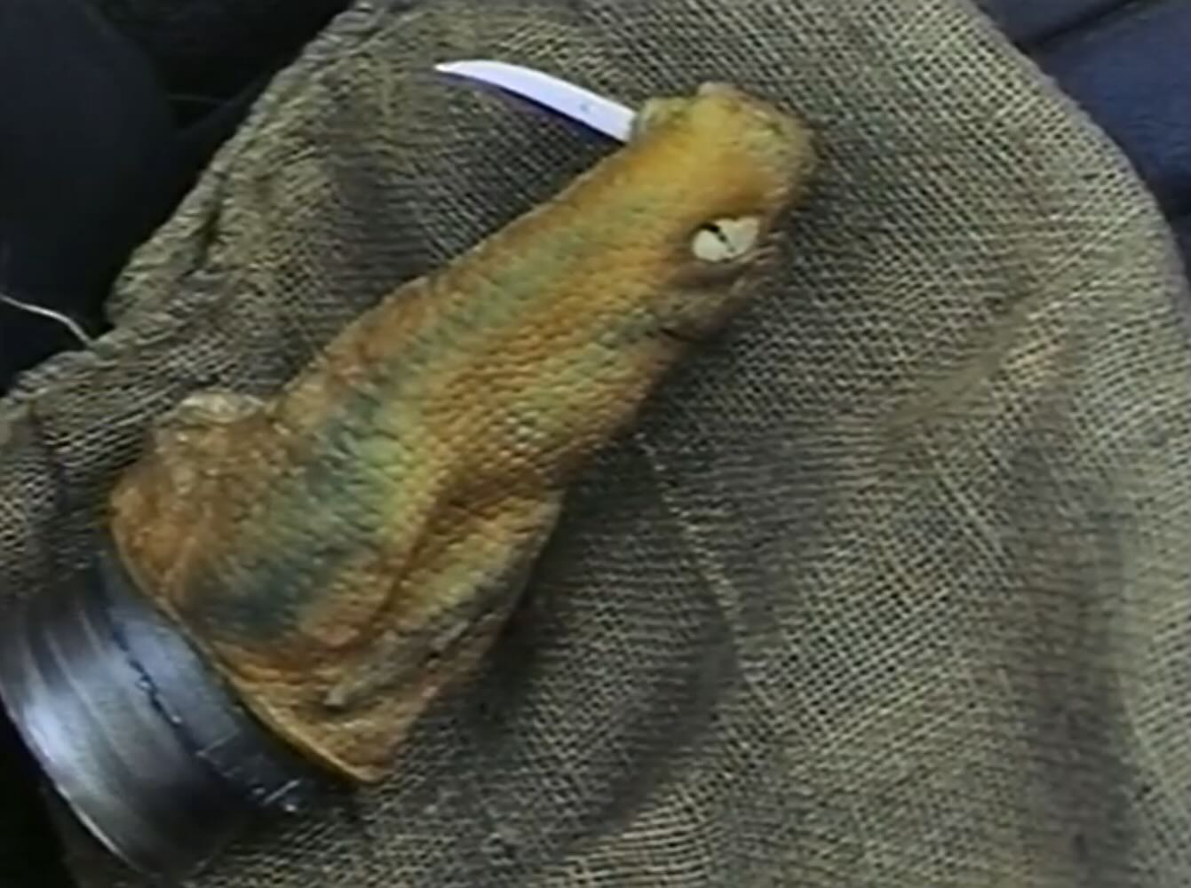 The killers slashes his victims with this deadly snake hand puppet in SNAKE ISLAND!