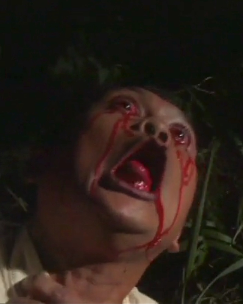 Despite some great reviews, THIRTEEN WOMEN failed to find an audience at cinemas but is now seen as a forerunner to the slasher movies of the late 1970s and early 1980s